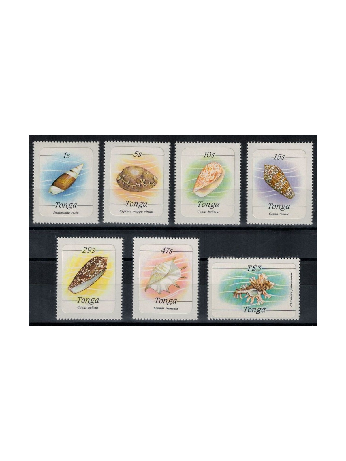 TONGA 1984 Serie ordinaria (conchiglie) 7v MNH**