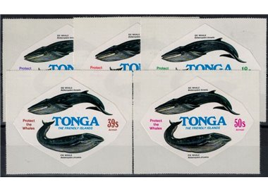 TONGA 1977 Airmail (whales) 5v MNH**