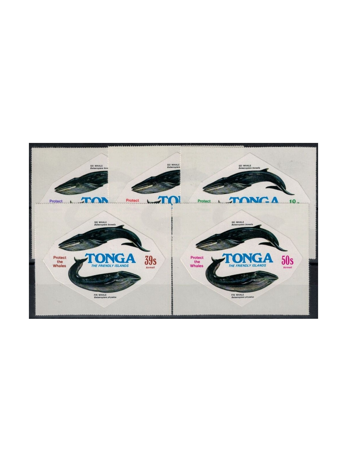 TONGA 1977 Airmail (whales) 5v MNH**