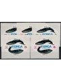 TONGA 1977 Airmail (whales) 5v MNH**