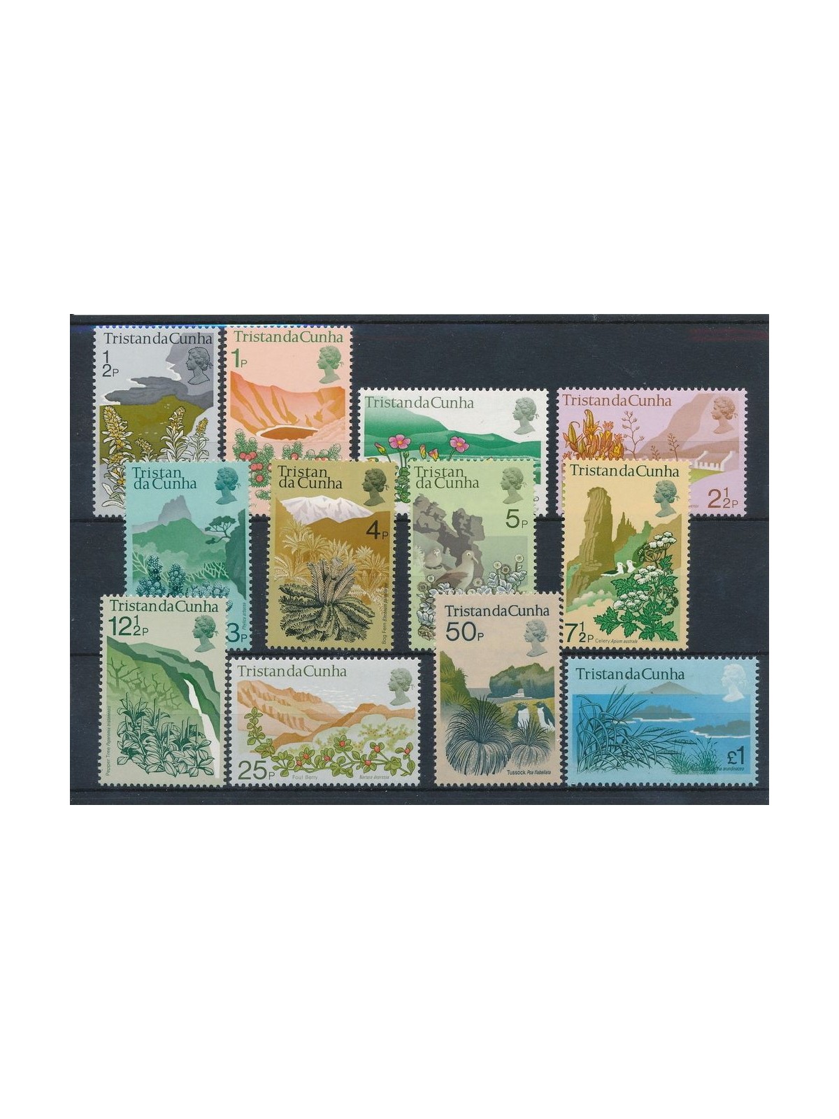 TRISTAN DA CUNHA 1972 Serie ordinaria - Definitives, Local Flora 12v MNH**
