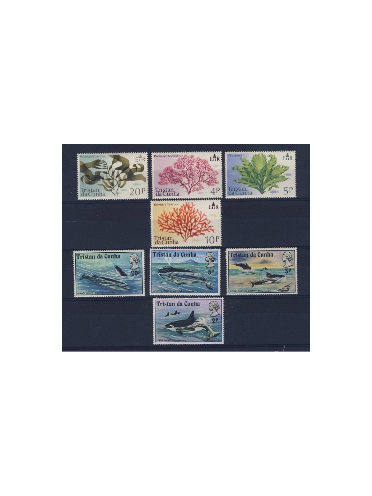 TRISTAN DA CUNHA 1975 Complete Yearset - Complete Yearset 8v MNH**