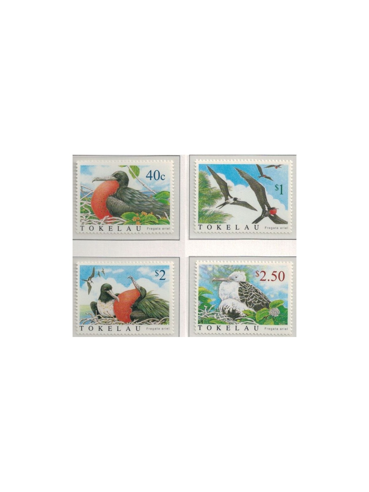 TOKELAU 2004 Fregat birds 4v MNH**