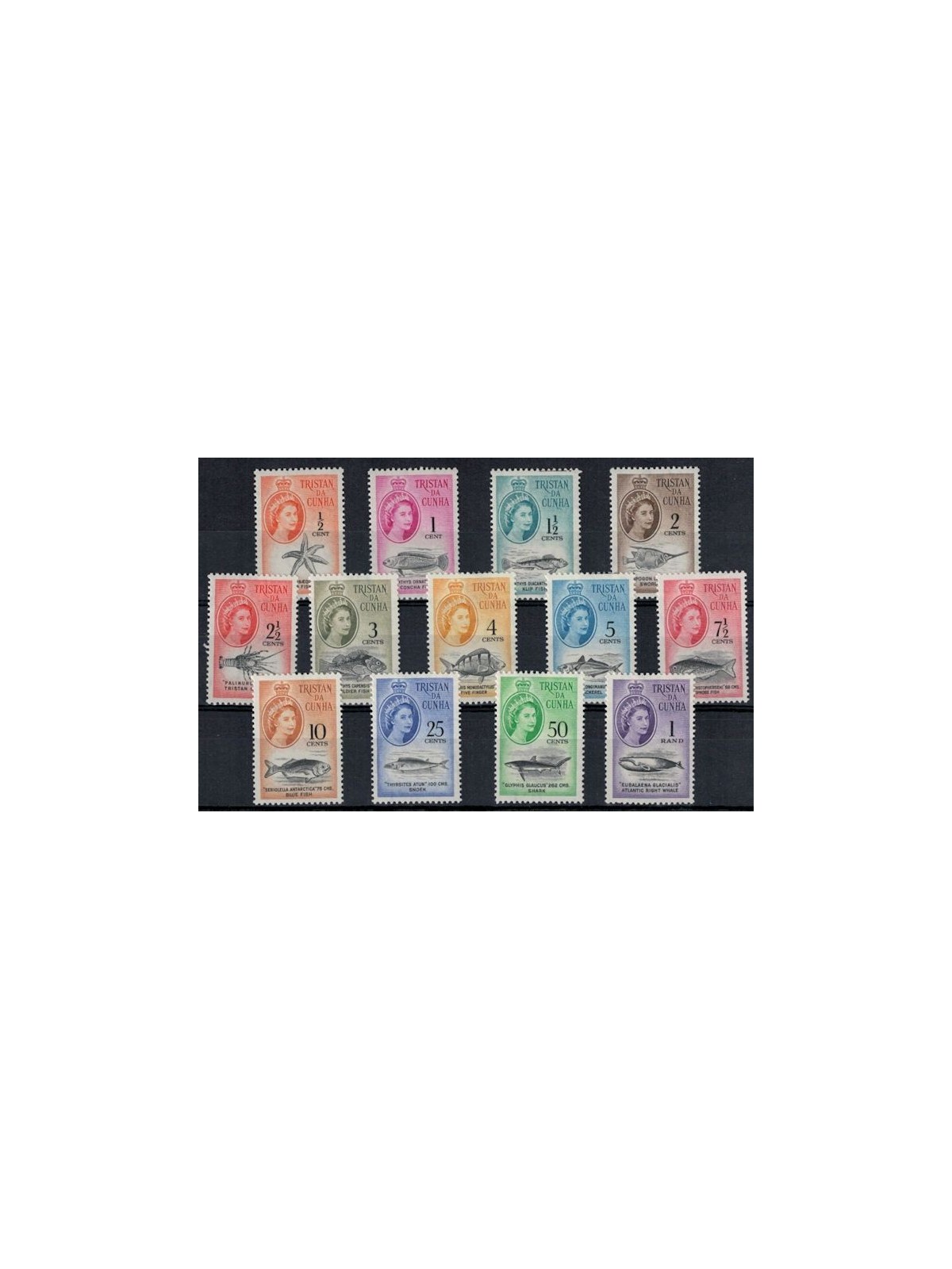 TRISTAN DA CUNHA 1961 Ordinary series - Definitives, fish 13v MNH**