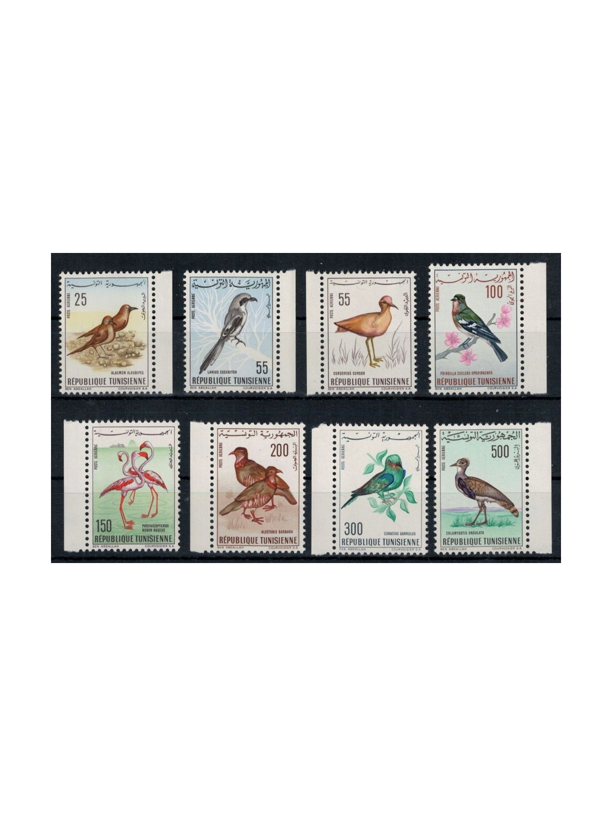 TUNISIA 1965-66 Fauna, birds 8v MNH**