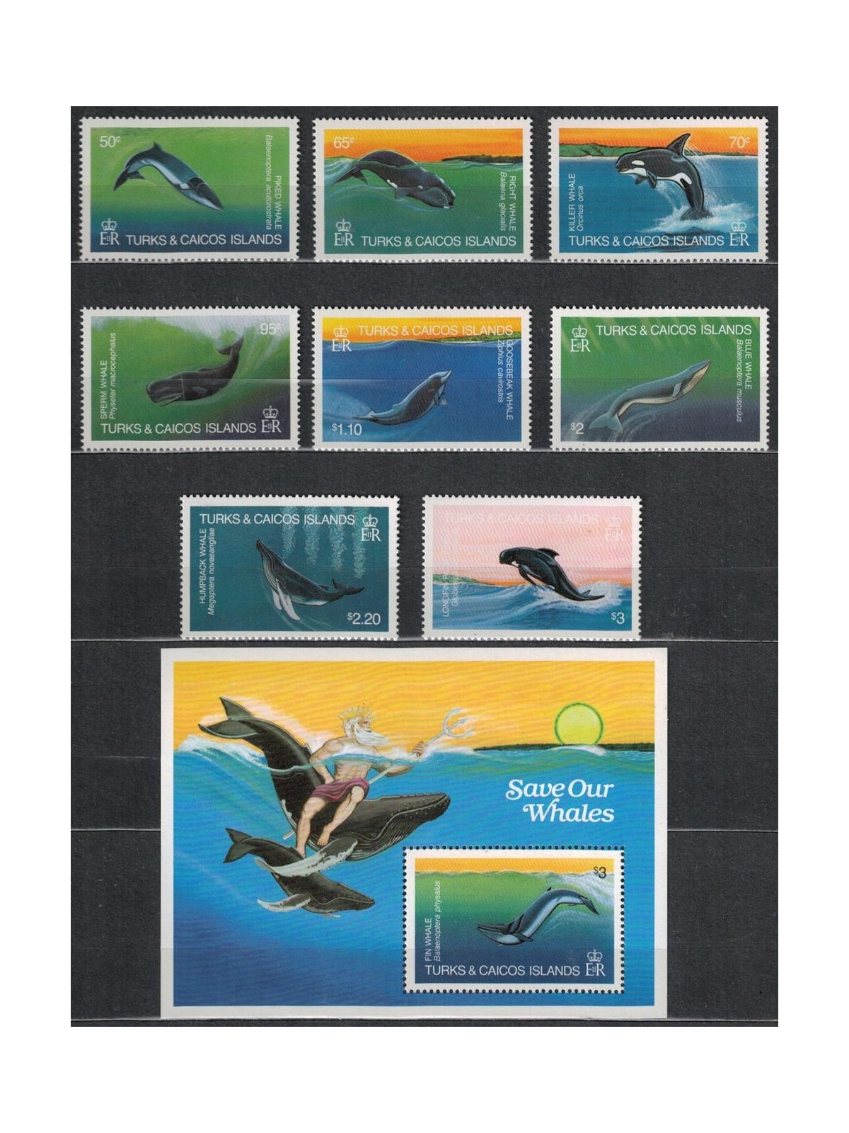 TURKS AND CAICOS 1983 Whales 8 v + 1 s/s