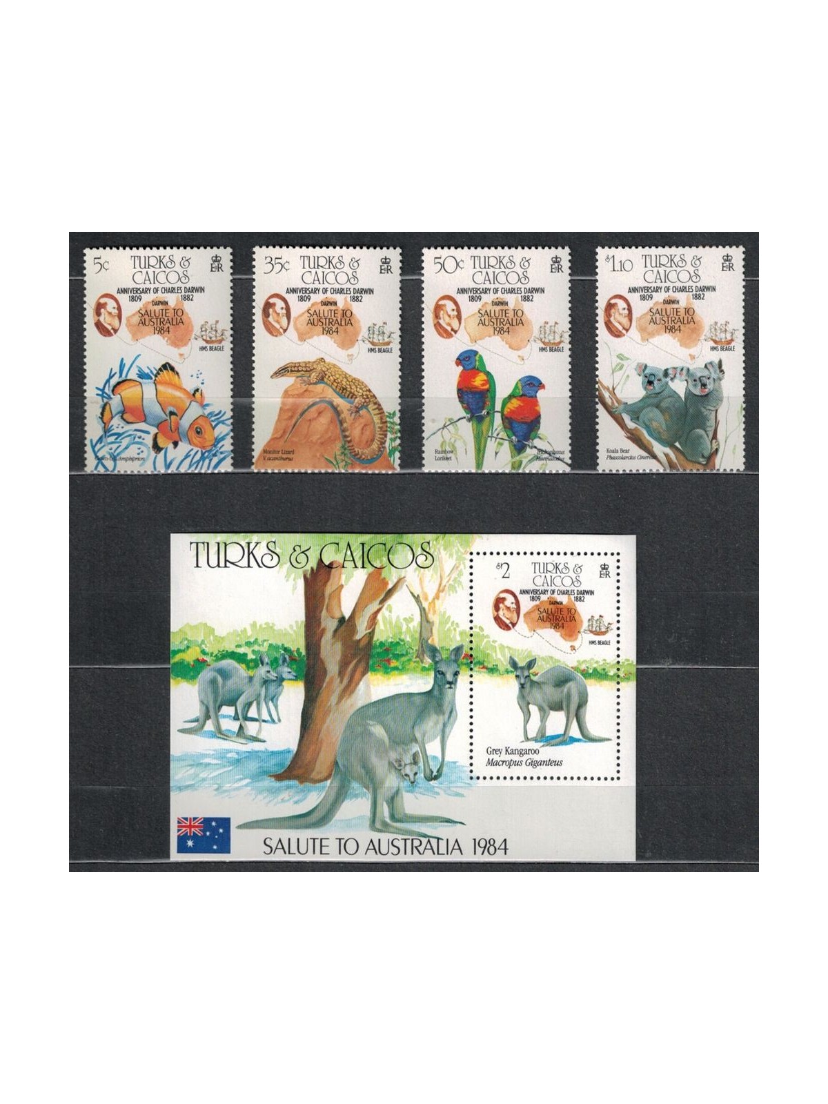 TURKS AND CAICOS 1984 Charles Darwin 4 v + 1 s/s