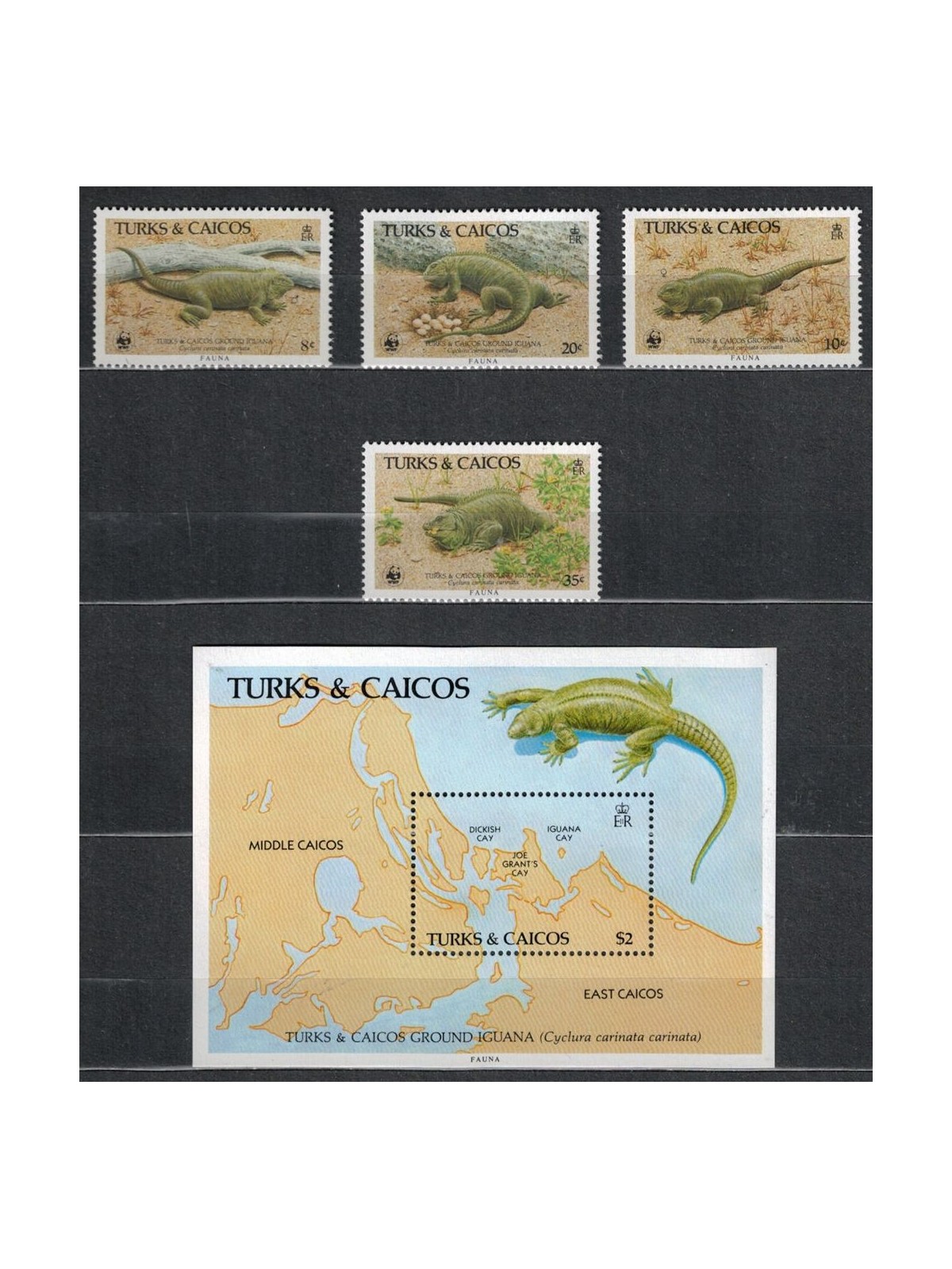 TURKS E CAICOS 1986 Fauna protetta - Iguana 4v + 1 BF MNH**