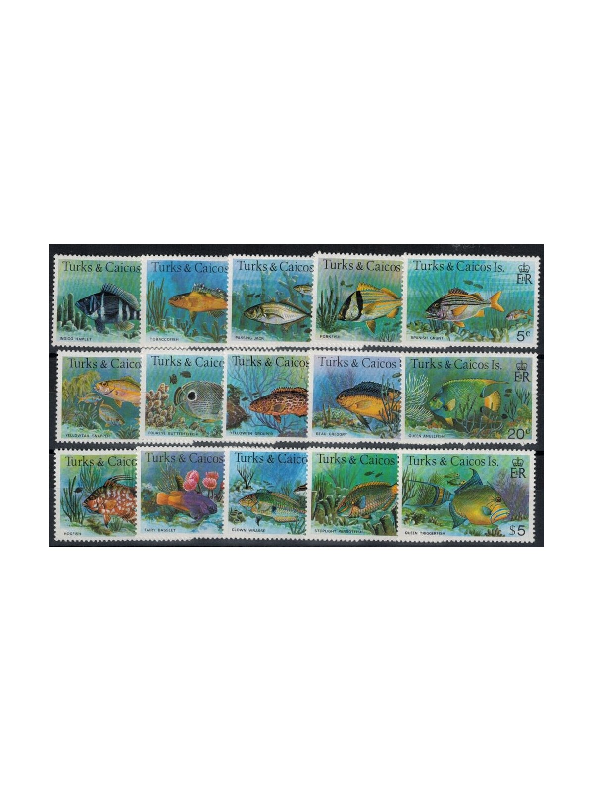 TURKS E CAICOS 1978/79 Definitivi, pesci - Definitives, fish 15 v