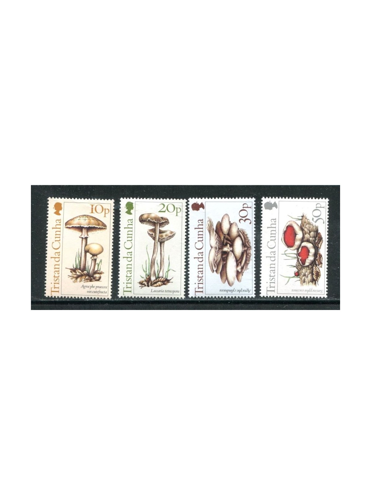TRISTAN DA CUNHA 1984 Mushrooms - Mushrooms 4v MNH**