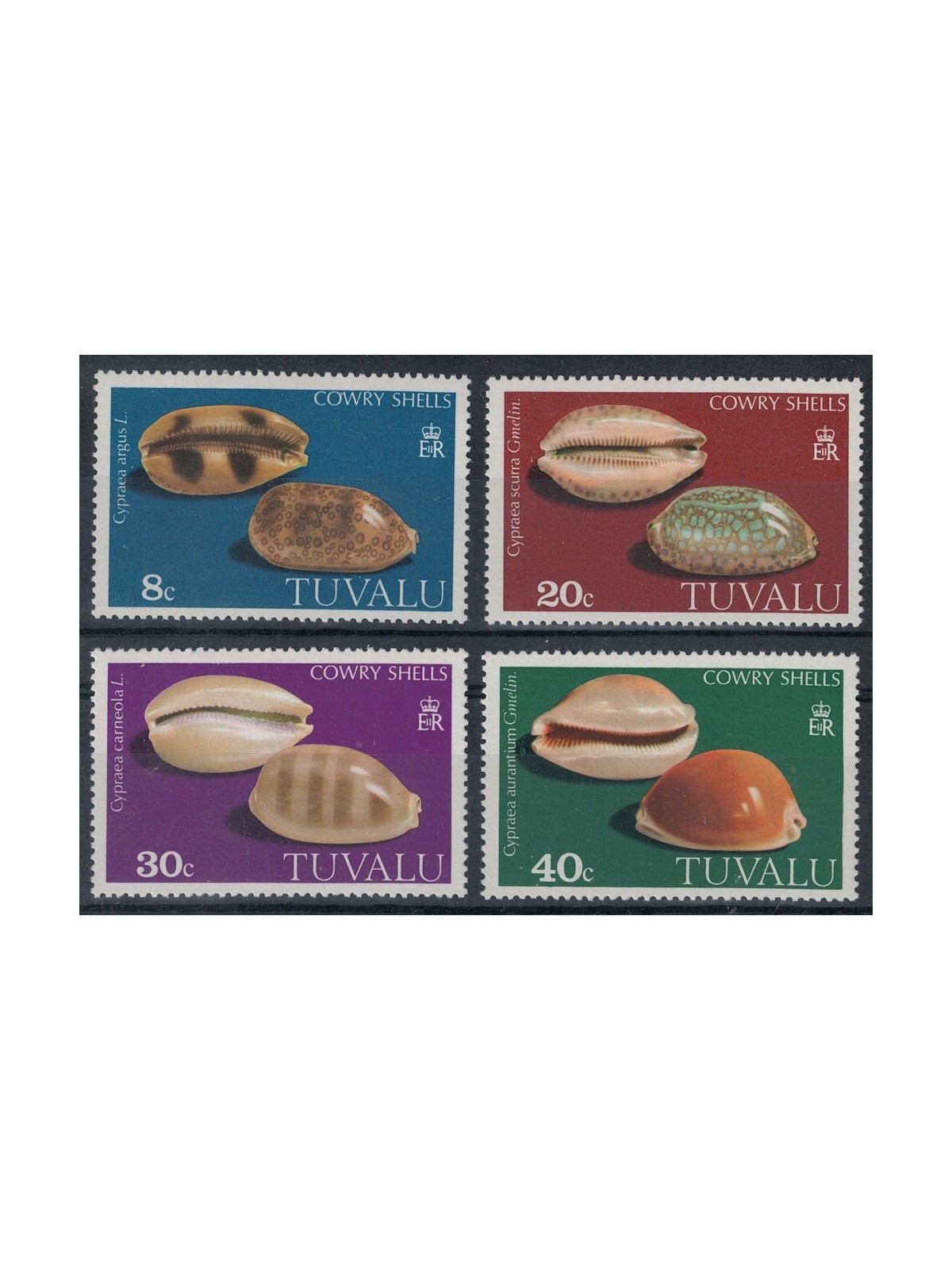 TUVALU 1980 Marine fauna, shells 4v MNH**