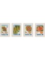 TUVALU 1988 Mushrooms 4v MNH**