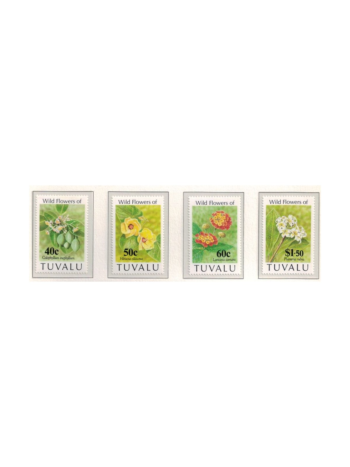 TUVALU 1993 Wild flowers 4v MNH**