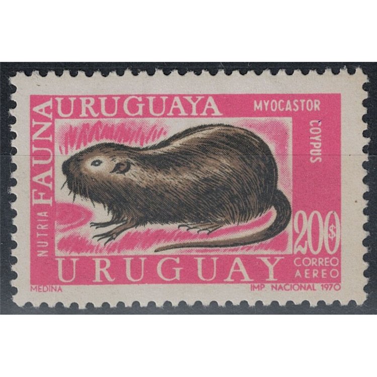 URUGUAY 1971 Fauna uruguagia 1v MNH**