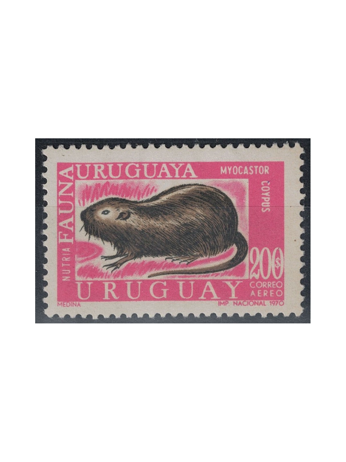 URUGUAY 1971 Fauna uruguagia 1v MNH**