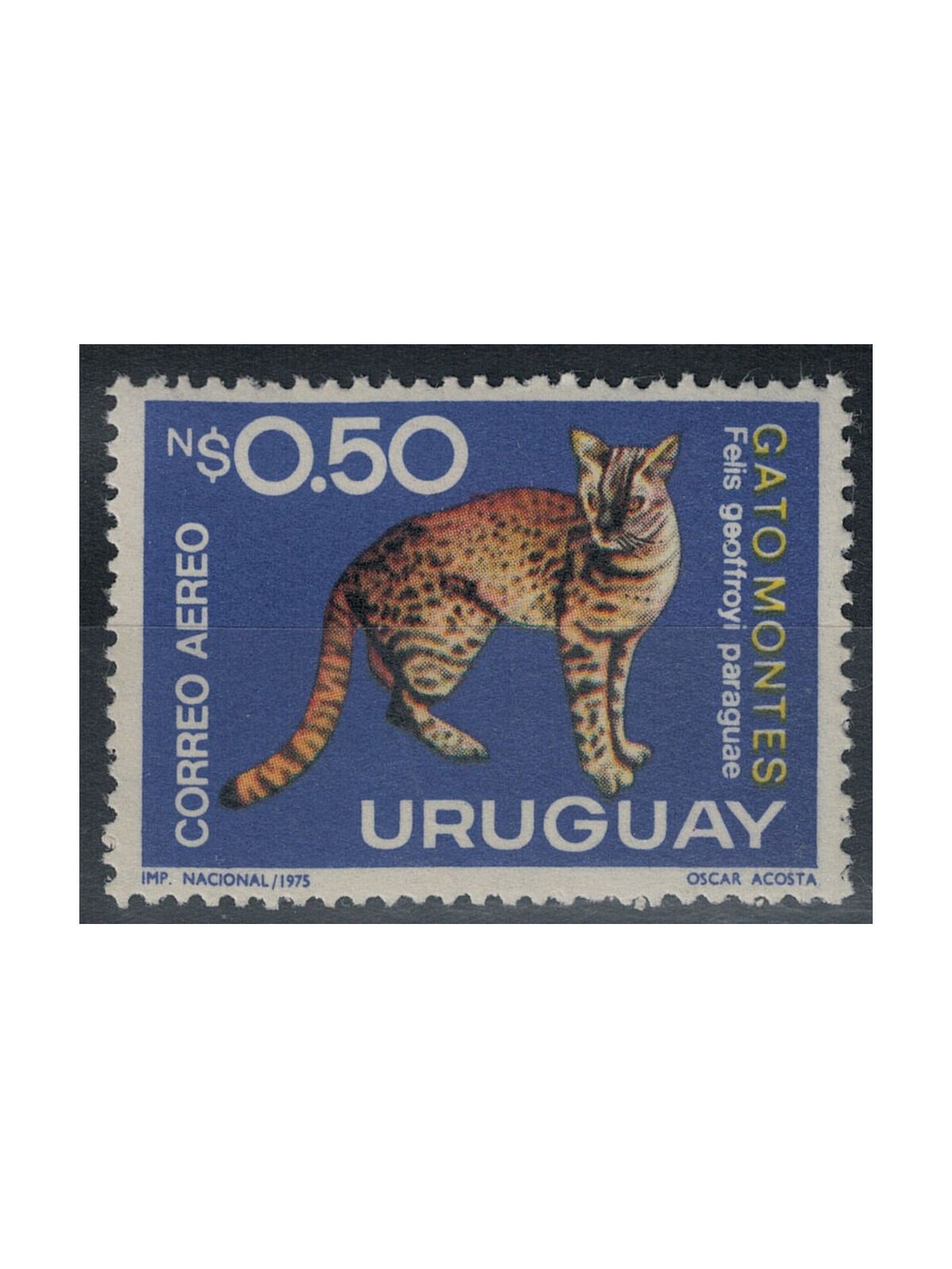 URUGUAY 1975 Fauna, gatti 1v MNH**