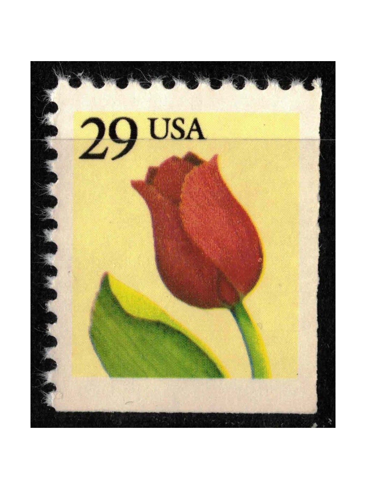 USA 1991 Tulipano (da LB) MNH**