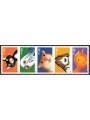 USA 1998 Pets 5v MNH**