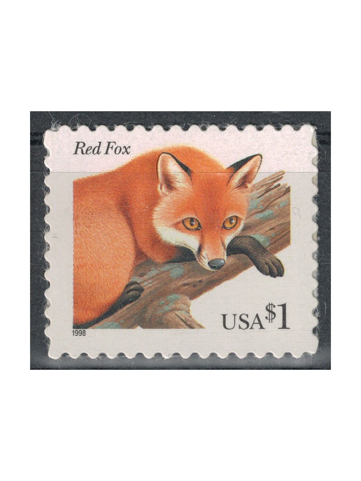 USA 1998 Red Fox MNH**