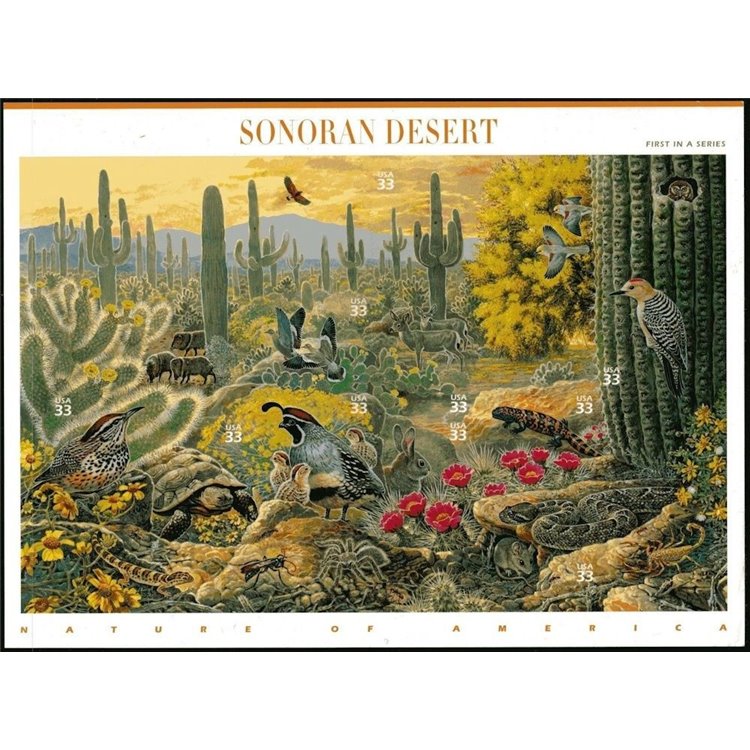 USA 1999 Natura d'America (Deserto di Sonora) 10v MNH**