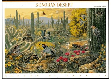 USA 1999 Natura d'America (Deserto di Sonora) 10v MNH**