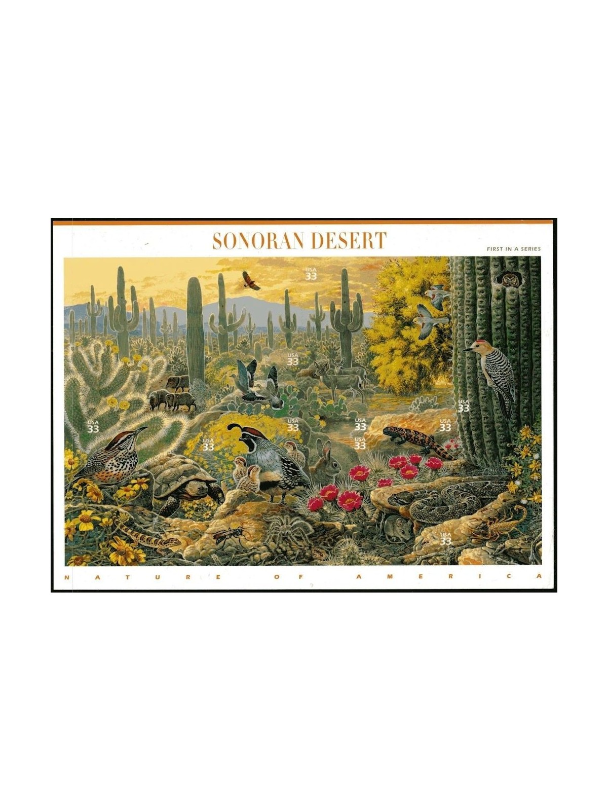 USA 1999 Natura d'America (Deserto di Sonora) 10v MNH**