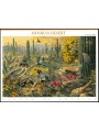 USA 1999 Nature of America (Sonora Desert) 10v MNH**