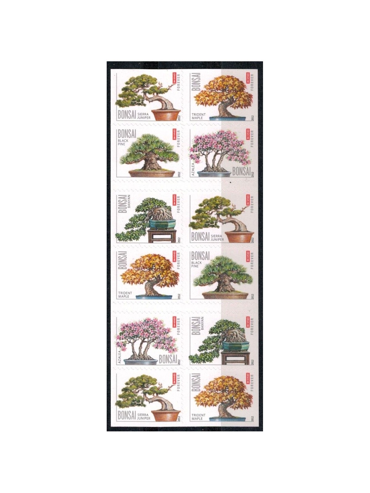 USA 2012 Bonsai 20v in LB MNH**