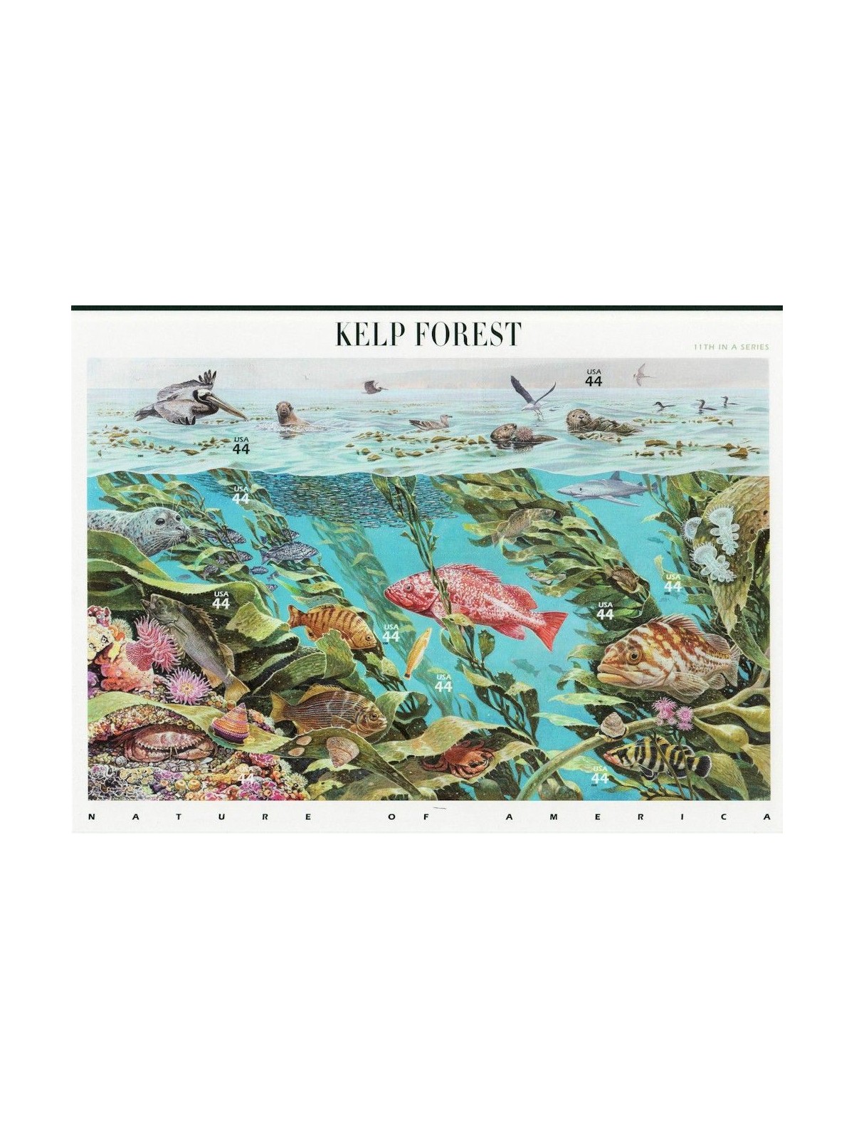 USA 2009 Kelp Forest 10v MNH**
