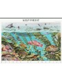 USA 2009 Kelp Forest 10v MNH**