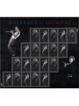 USA 2012 Miles Davis and Edith Piaf m/s MNH**