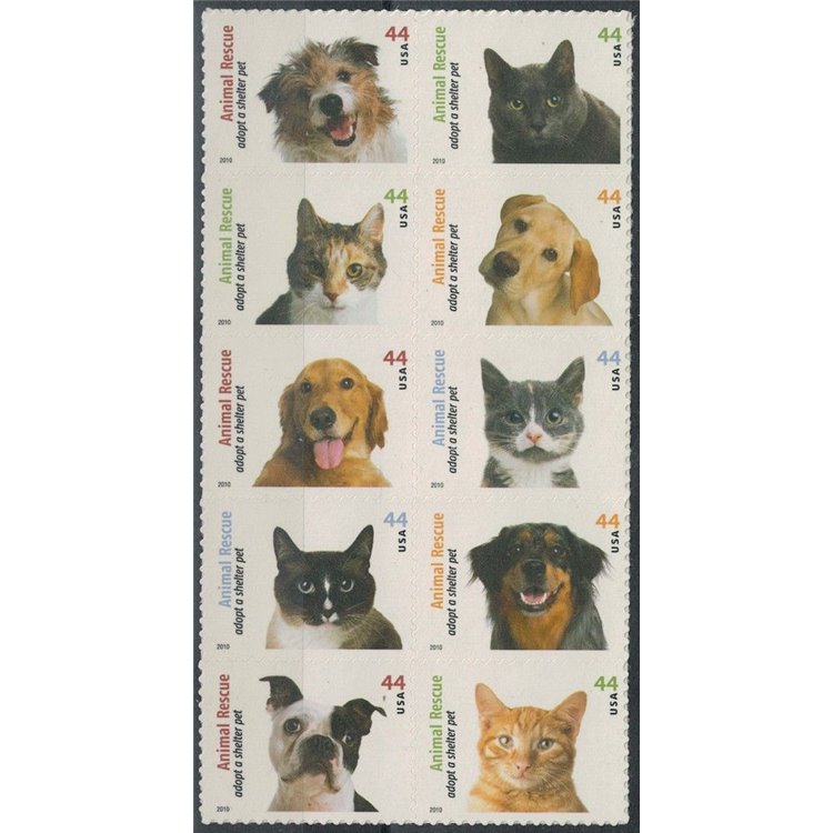 USA 2010 Protezione degli animali, cani e gatti 10v MNH**