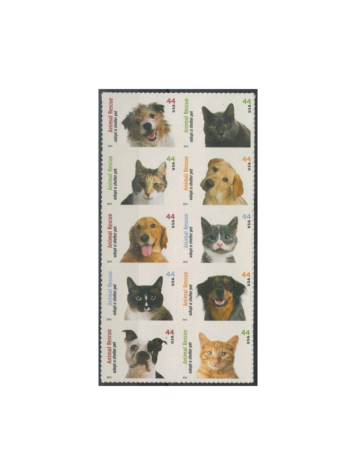 USA 2010 Protezione degli animali, cani e gatti 10v MNH**