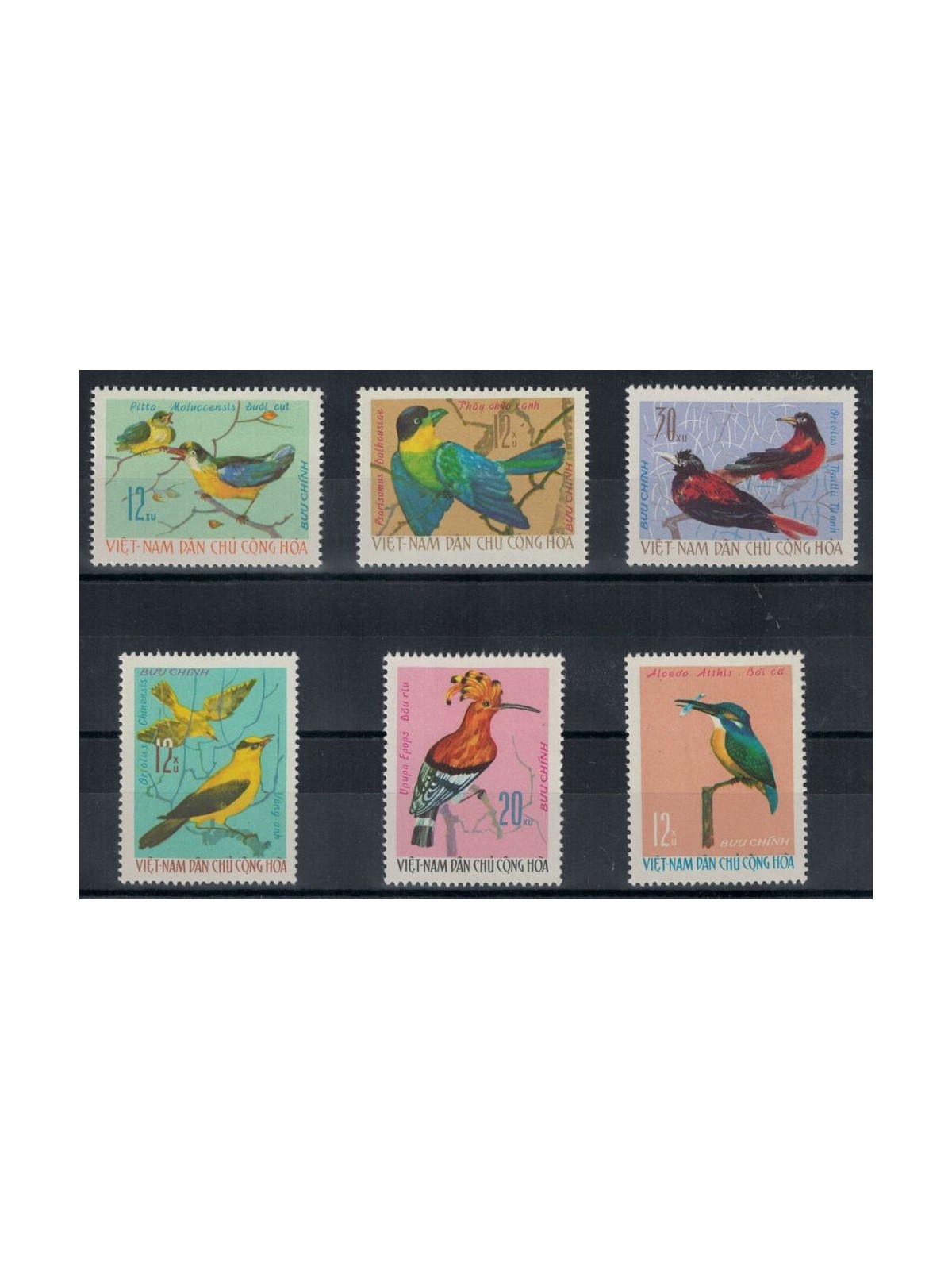 NORTH VIETNAM 1966 Fauna, birds 6v MNH**