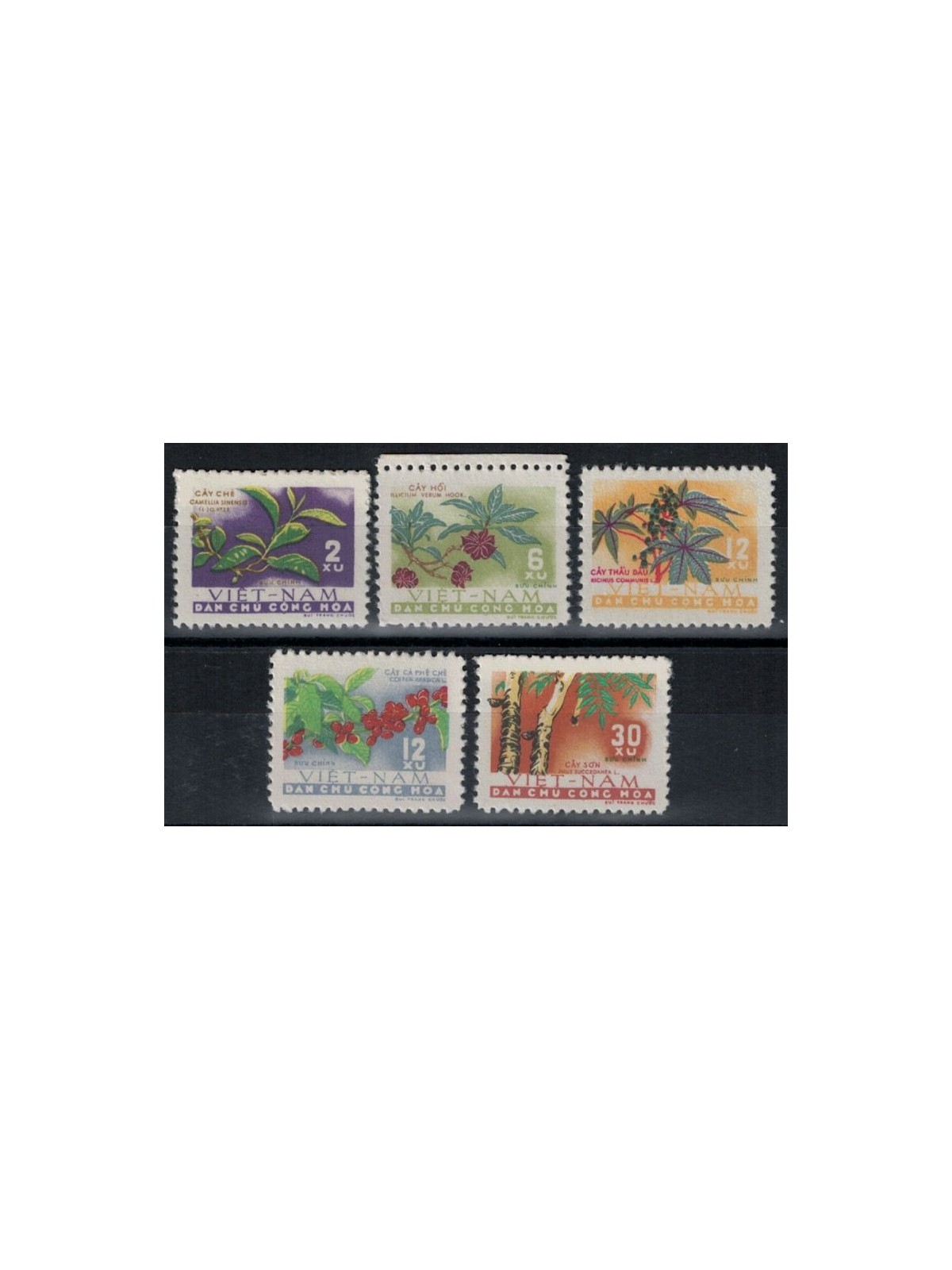 North Vietnam 1962 Ordinary series, plants 5v MNH**