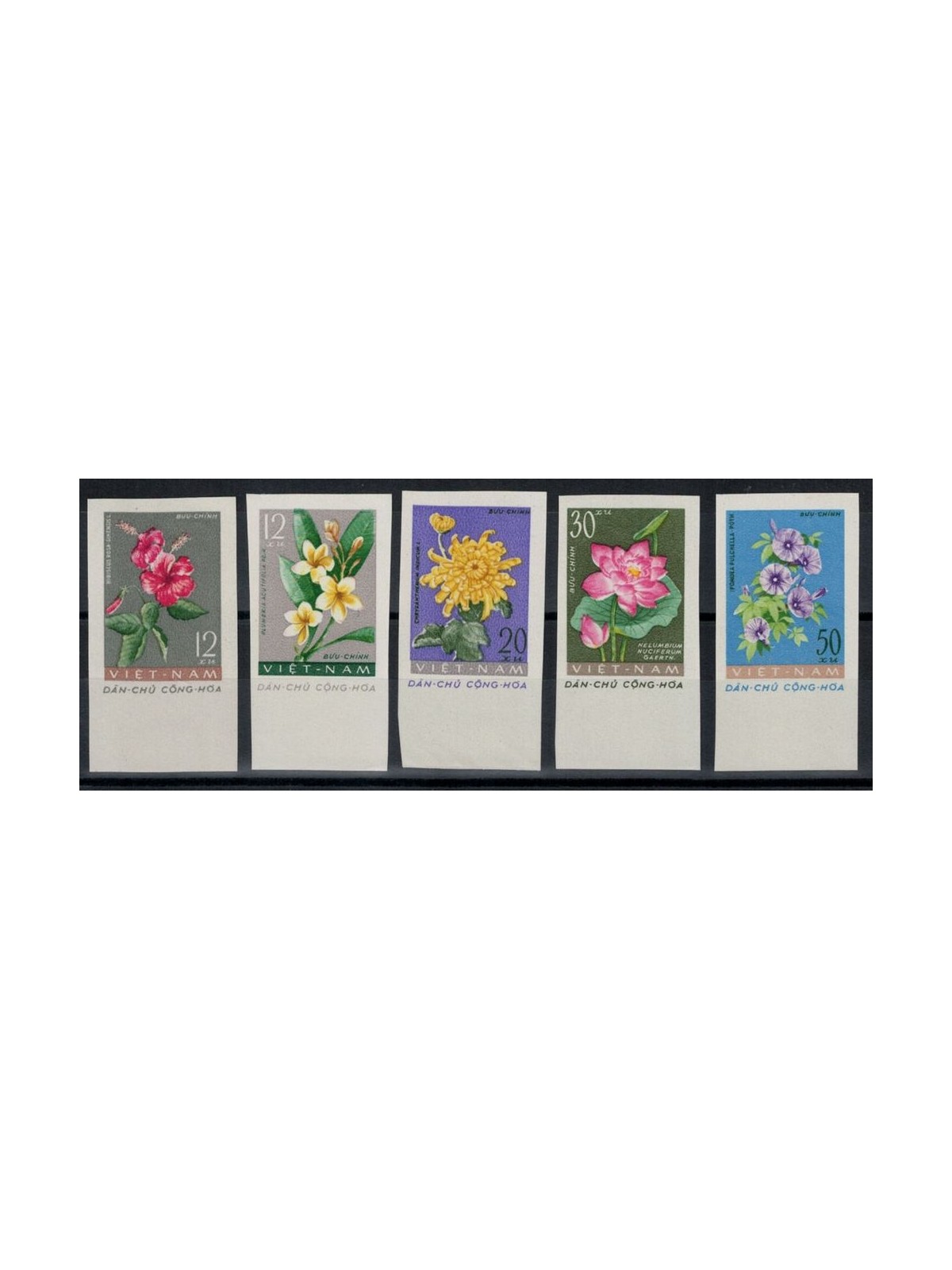VIETNAM DEL NORD 1962 Flora, fiori 5v MNH**