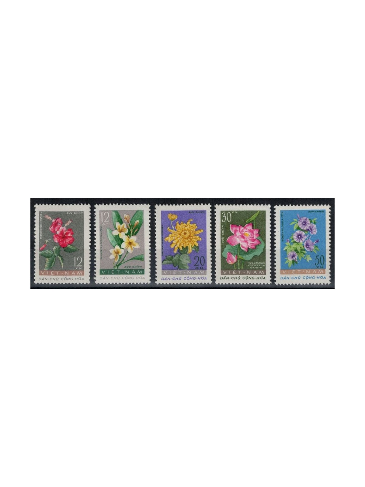 North Vietnam 1962 Flora, flowers 5v MNH**