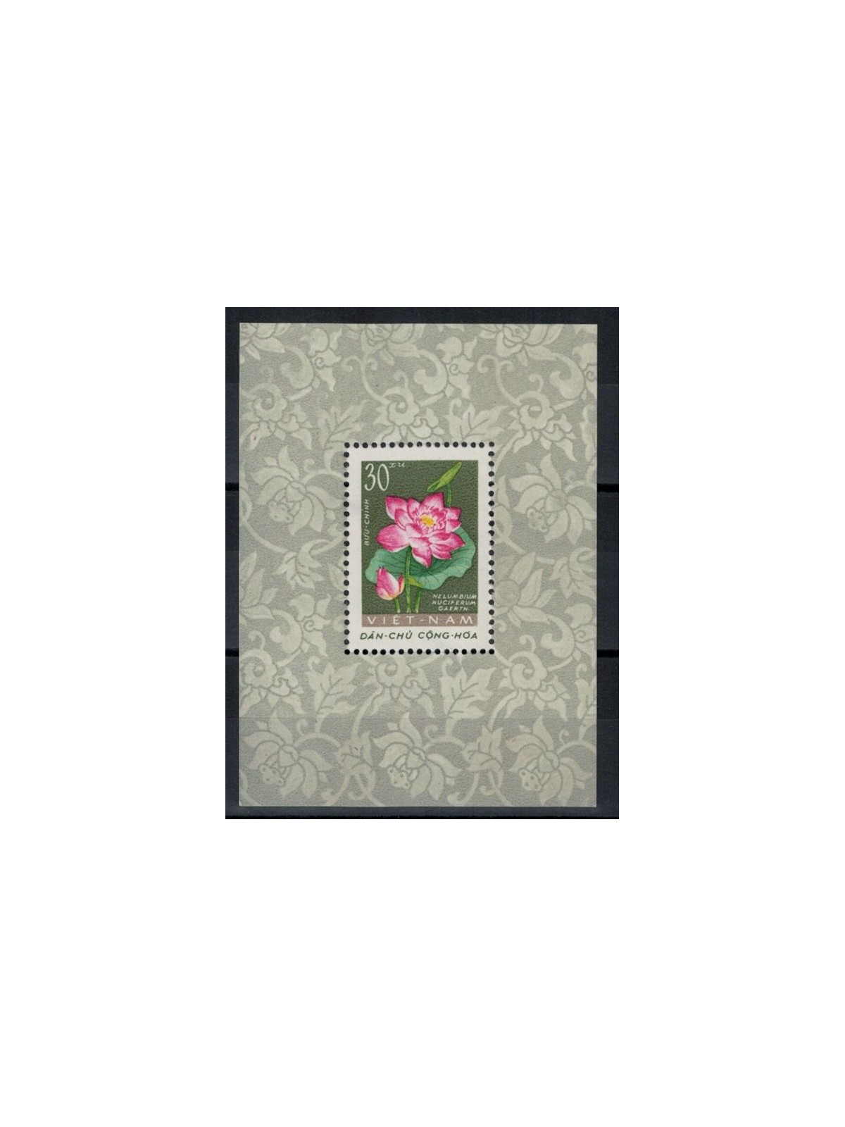 NORTH VIETNAM 1962 Flora, flowers 1 s/s MNH**