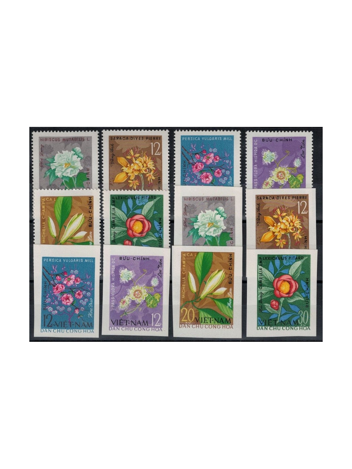 NORTH VIETNAM 1964 Flora, flowers 12v MNH**