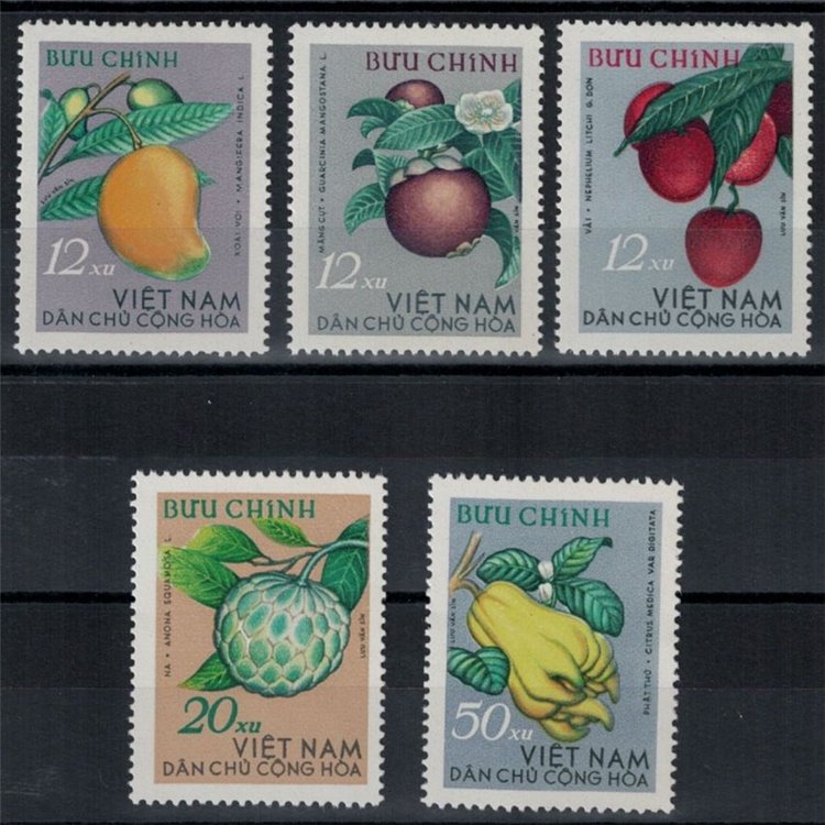 VIETNAM DEL NORD 1964 Frutta tropicale 5v MNH**