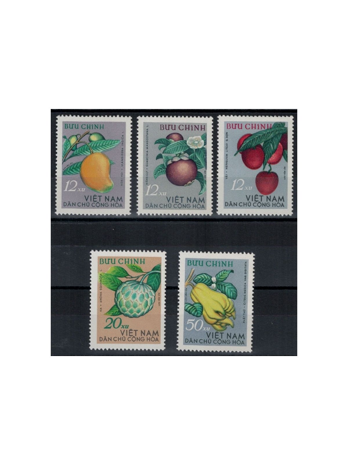 NORTH VIETNAM 1964 Tropical fruit 5v MNH**