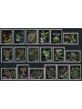 VENEZUELA 1962 Native orchids 18v MNH**