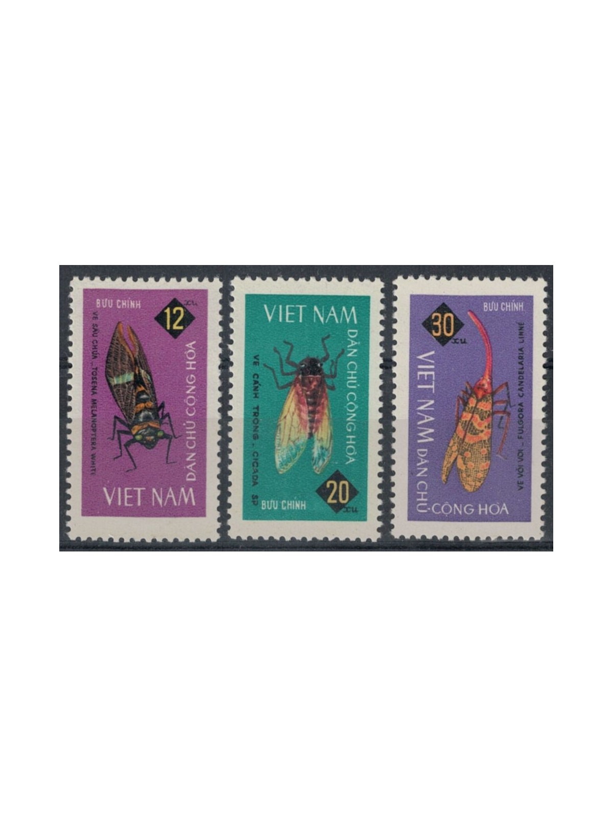 NORTH VIETNAM 1965 Insects 3v MNH**