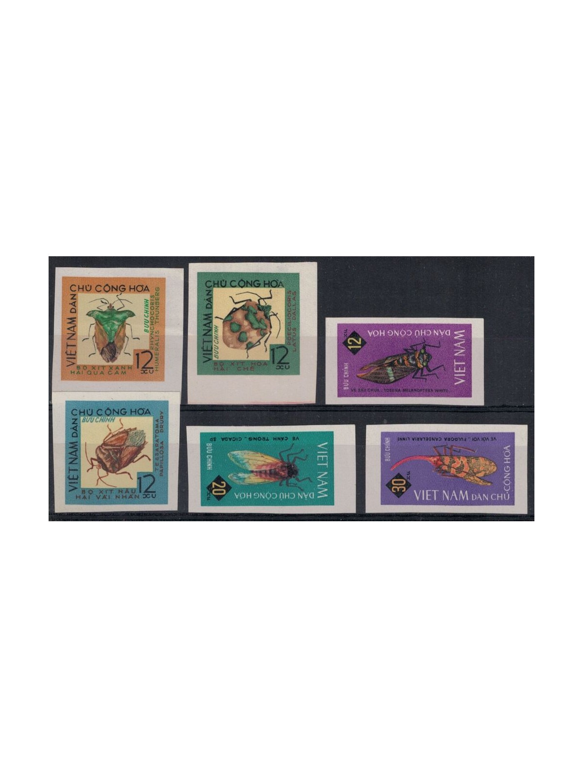 VIETNAM DEL NORD 1965 Insetti 6v MNH**