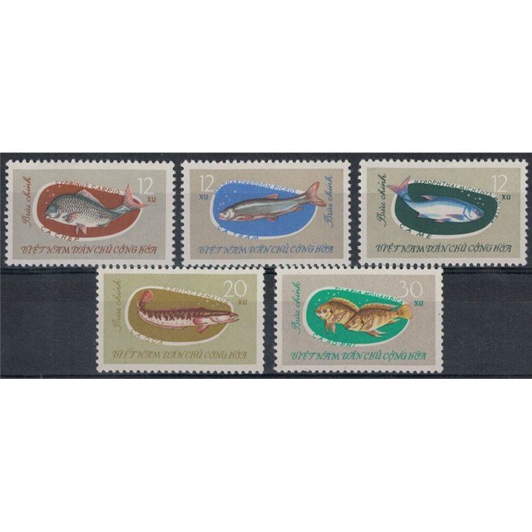 NORTH VIETNAM 1963 Freshwater fish 5v MNH**