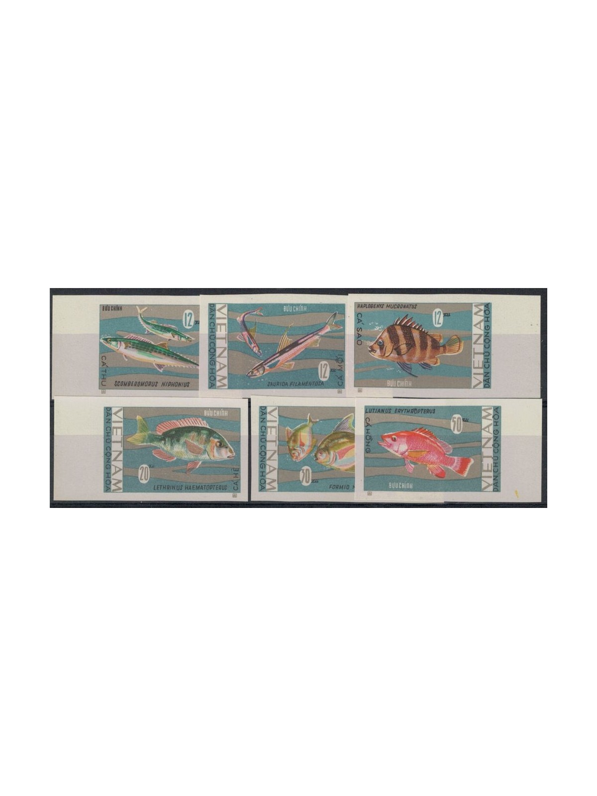 NORTH VIETNAM 1967 Marine fauna, fish 6v MNH**