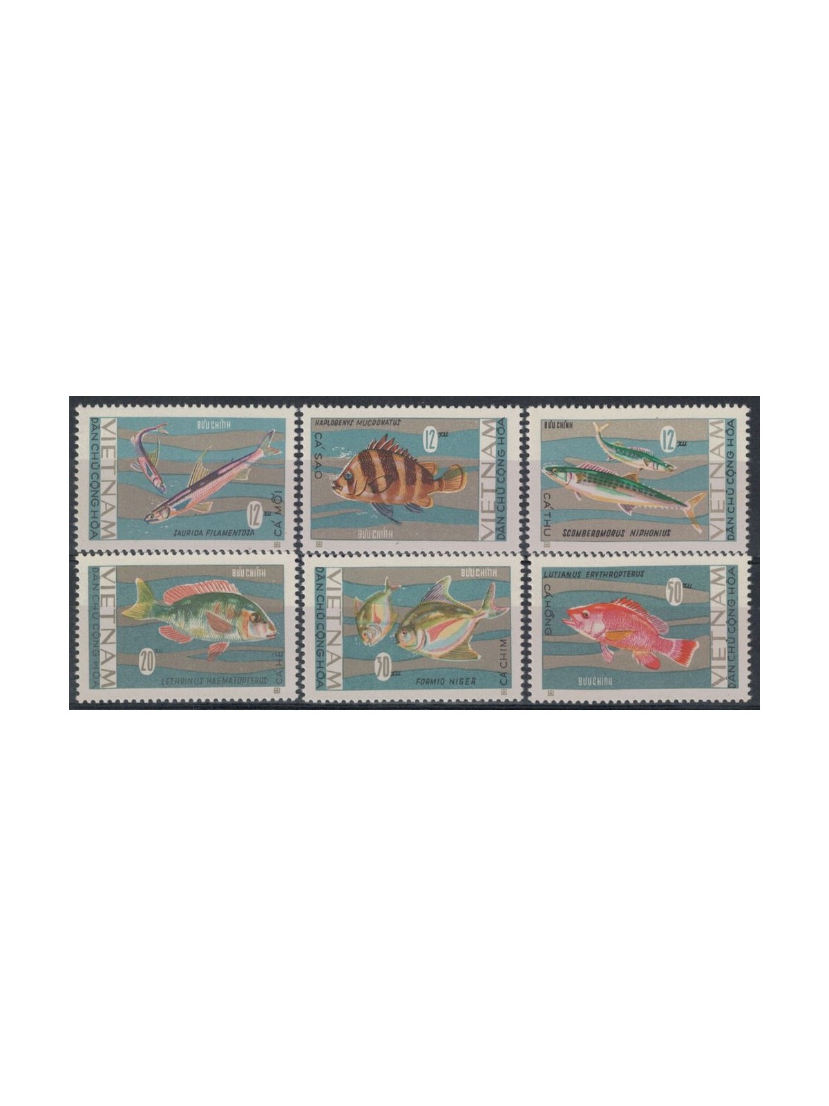 NORTH VIETNAM 1967 Marine fauna, fish 6v MNH**