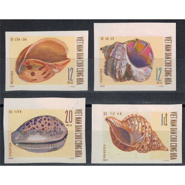 VIETNAM DEL NORD 1970 Conchiglie (non dentellati) 4v MNH**
