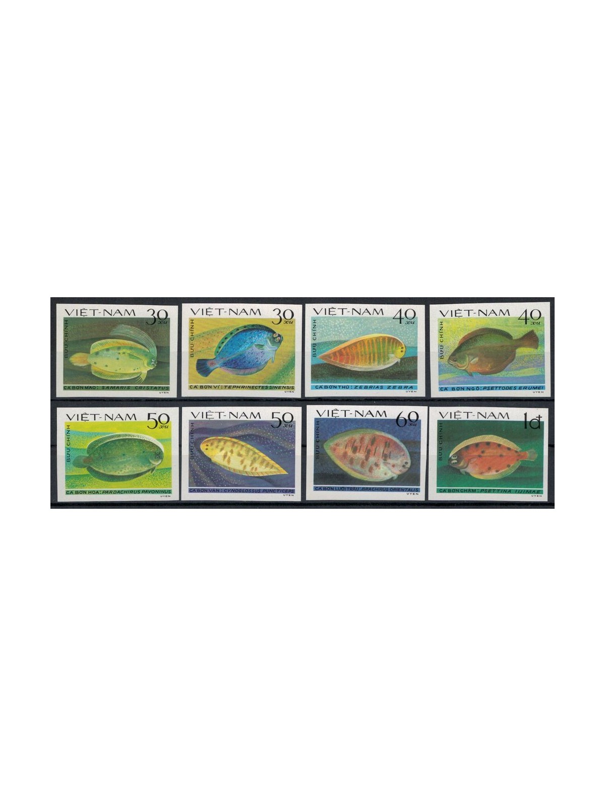 VIETNAM 1982 Fauna marina, pesci 8v MNH**