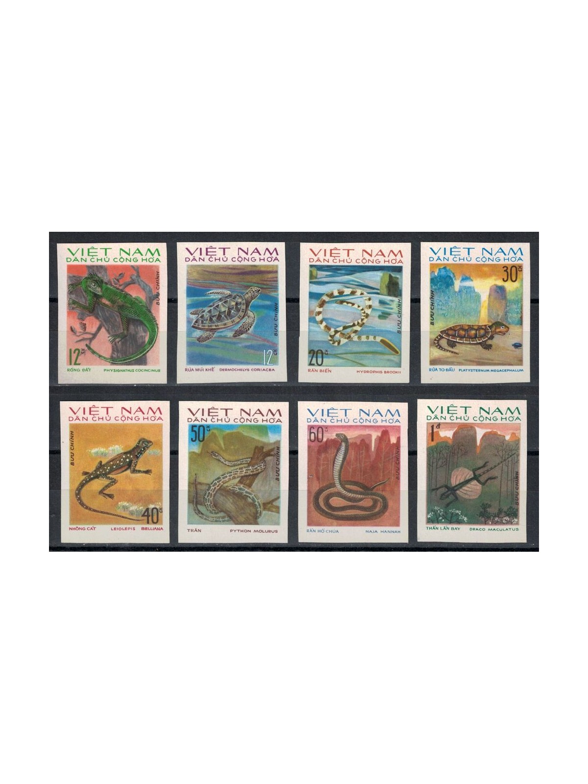 NORTH VIETNAM 1975 Fauna, reptiles 8v MNH**